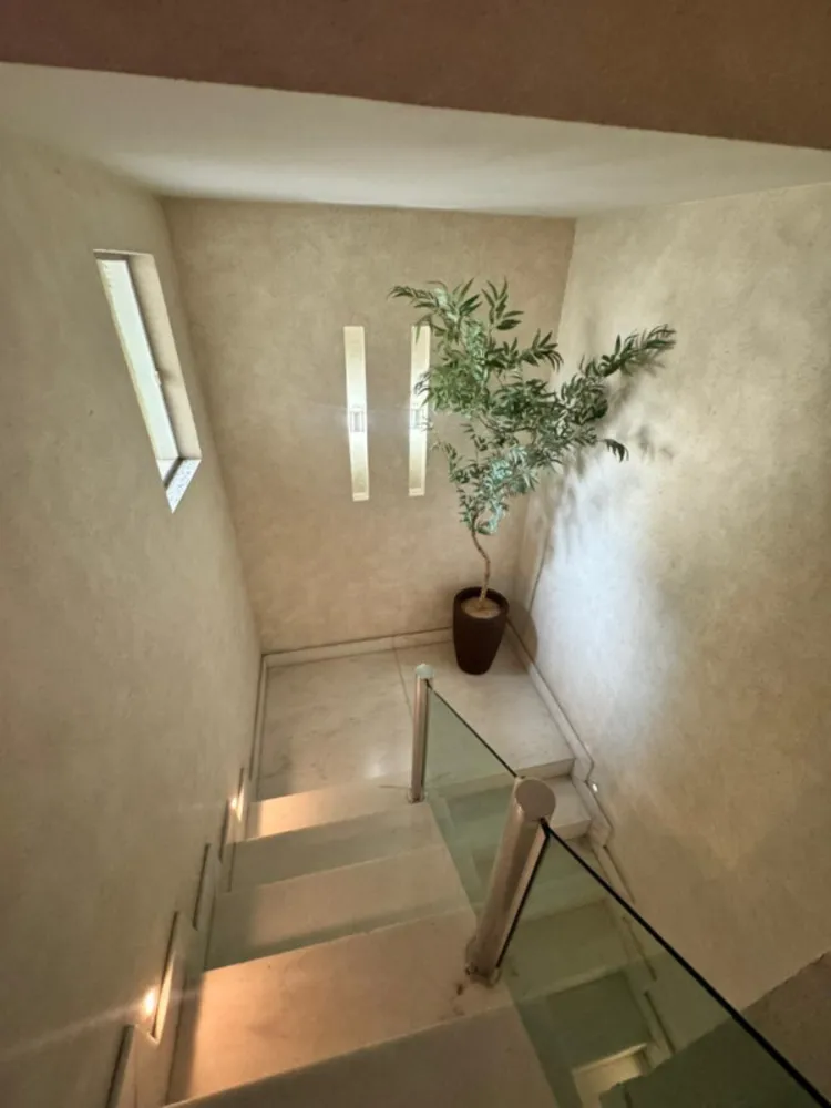 Casa, 3 quartos, 320 m² - Foto 13