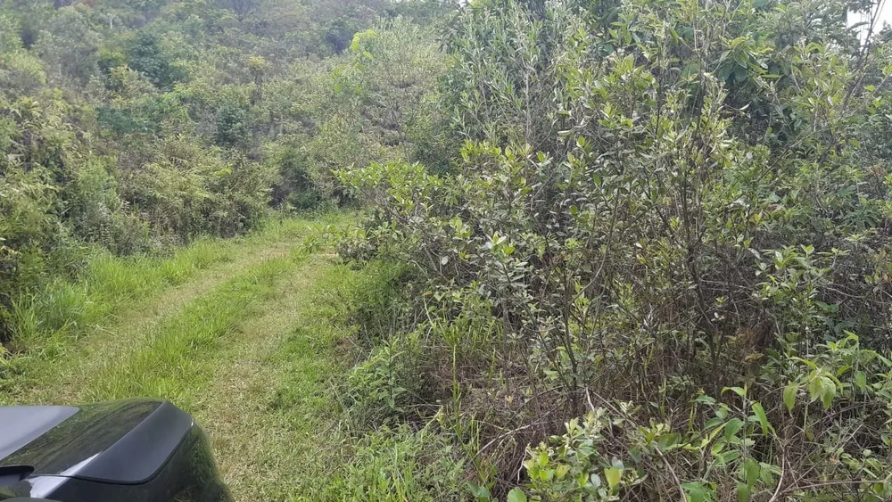 Terreno, 27000 m² - Foto 3