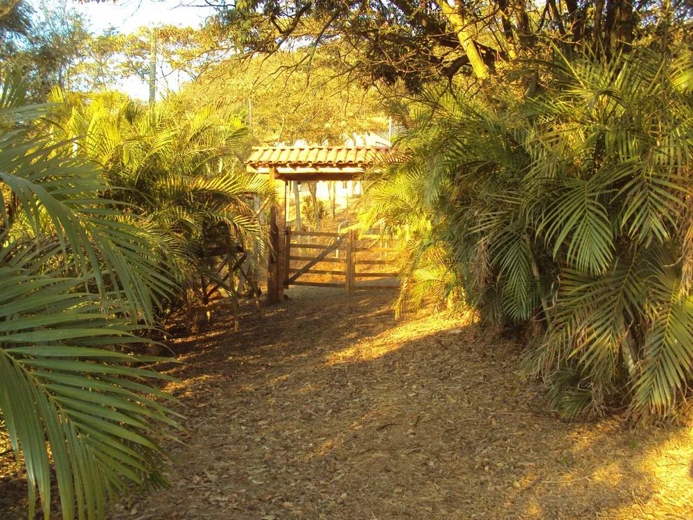 Sítio, 3 quartos, 4 hectares - Foto 8