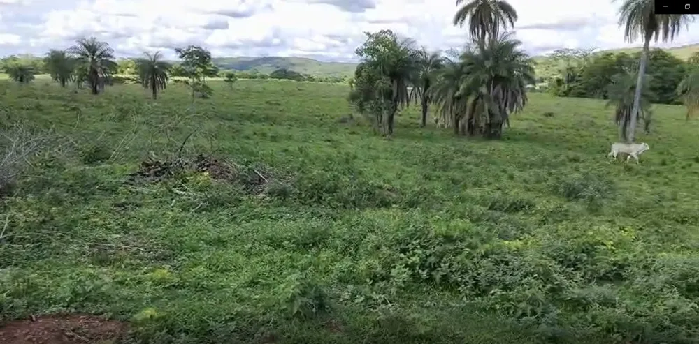 Fazenda, 201 hectares - Foto 3