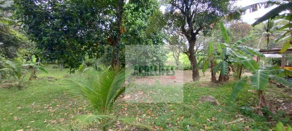 Terreno, 11240000 m² - Foto 3