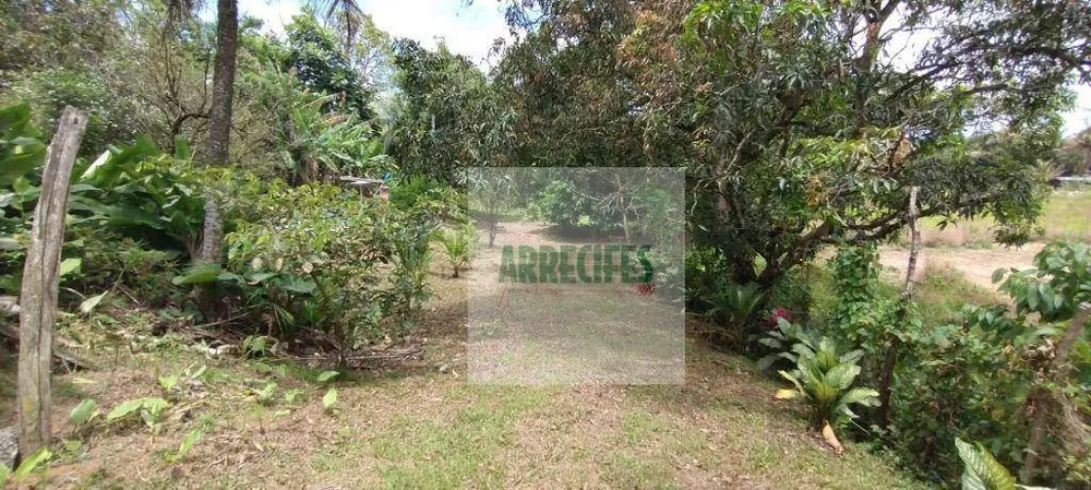 Terreno, 11240000 m² - Foto 12