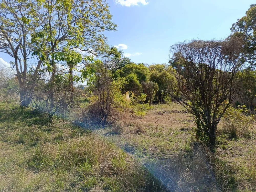 Chácara, 1 quarto, 5 hectares - Foto 4