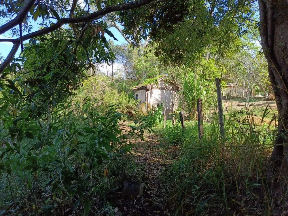 Chácara, 1 quarto, 5 hectares - Foto 3