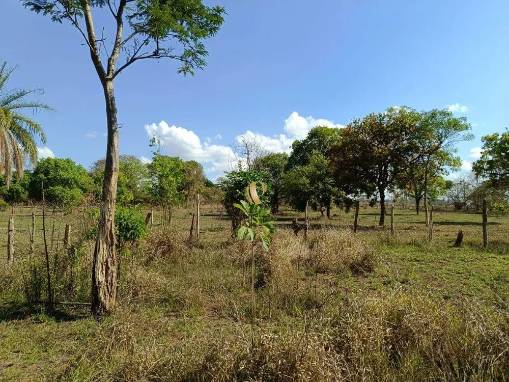 Sítio, 1 quarto, 5 hectares - Foto 4