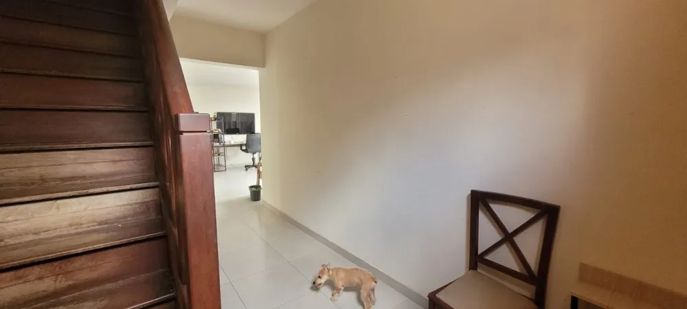Casa, 4 quartos, 200 m² - Foto 5