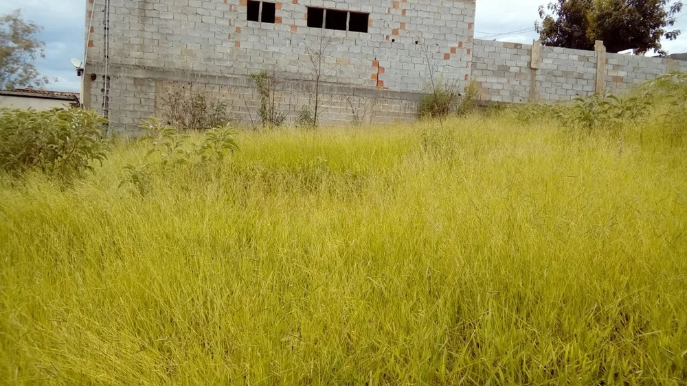 Terreno, 1200 m² - Foto 2
