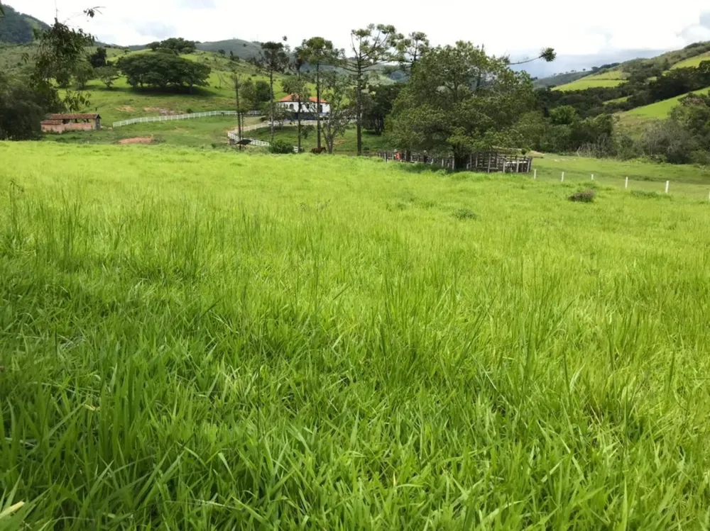 Fazenda, 174 hectares - Foto 7