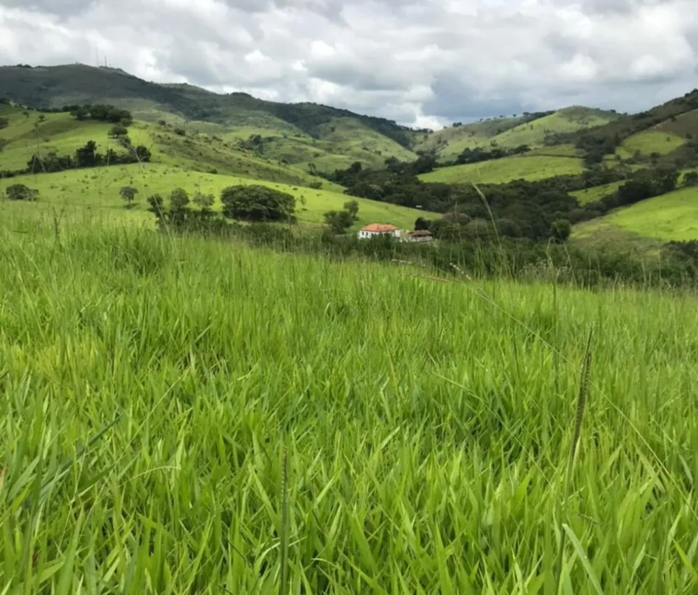 Fazenda, 174 hectares - Foto 6