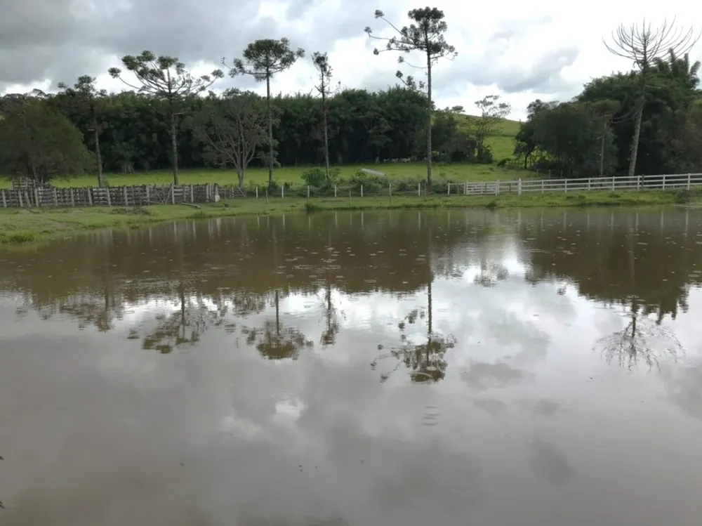 Fazenda, 174 hectares - Foto 4