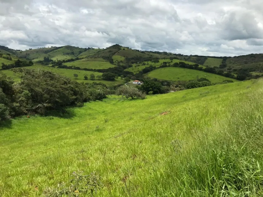Fazenda, 174 hectares - Foto 5
