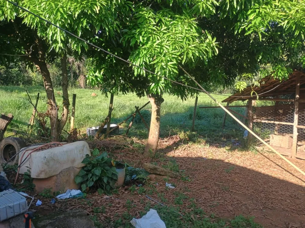 Chácara, 3 quartos - Foto 4