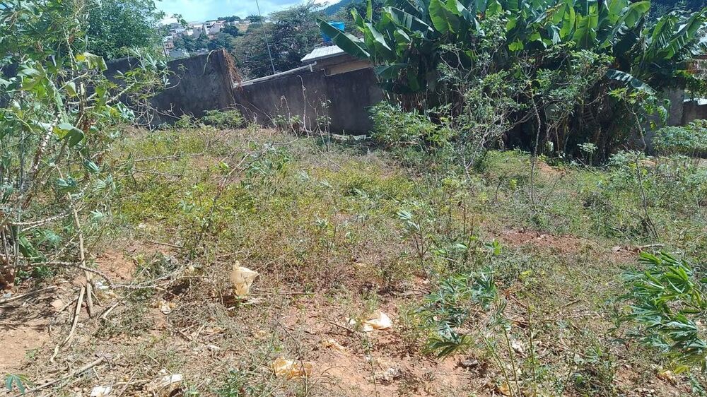 Terreno à venda - Foto 4