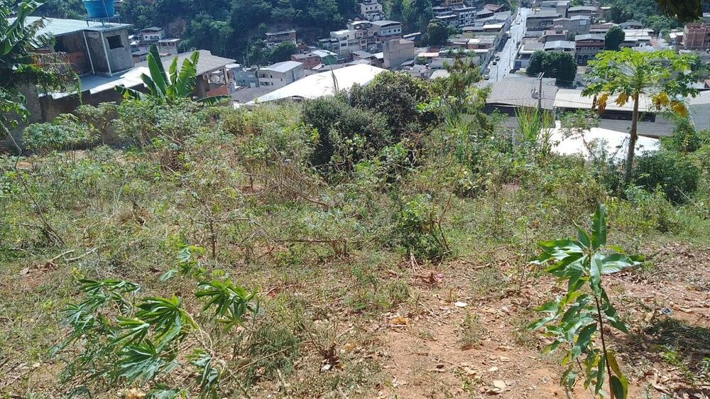 Terreno à venda - Foto 3