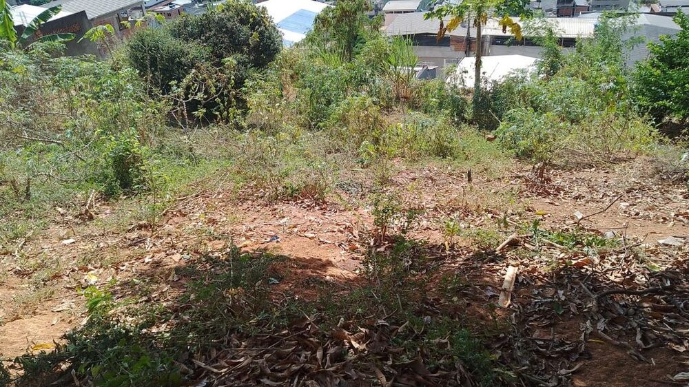 Terreno à venda - Foto 5