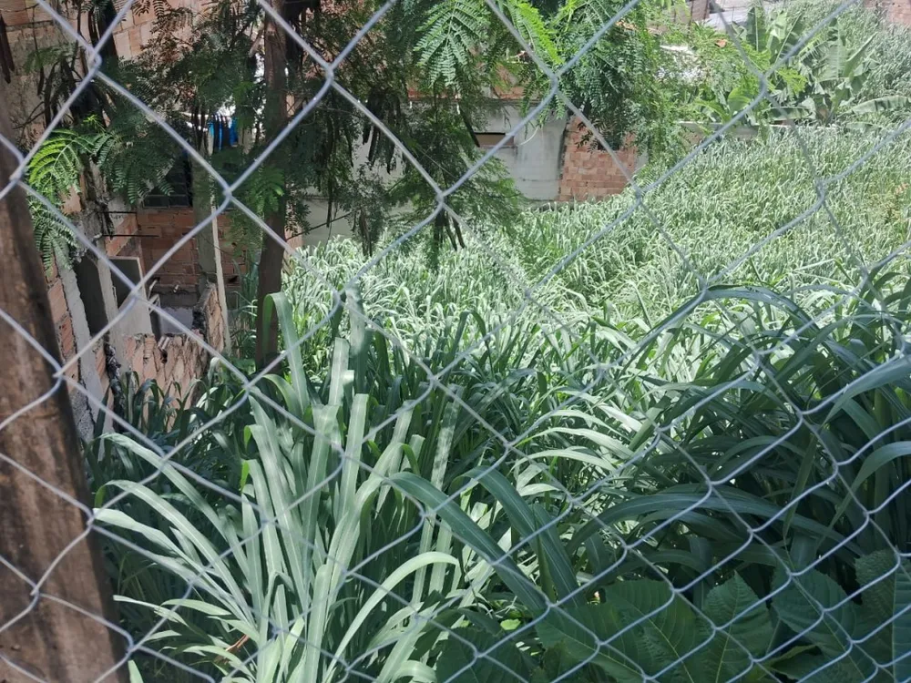 Terreno, 200 m² - Foto 3