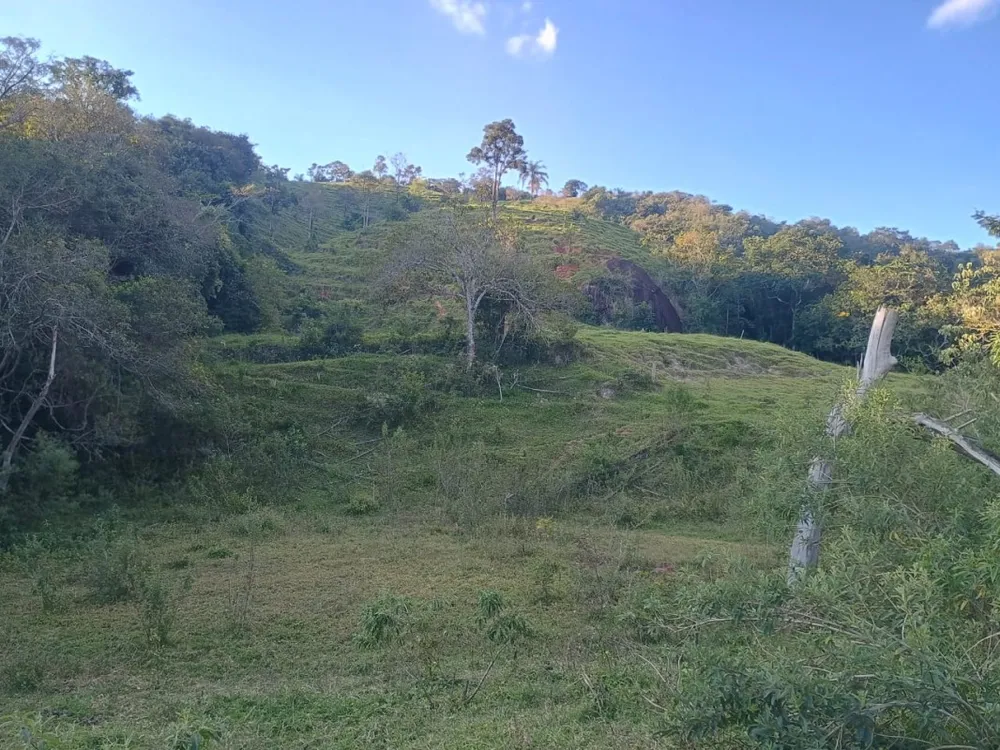 Fazenda, 4 quartos - Foto 7
