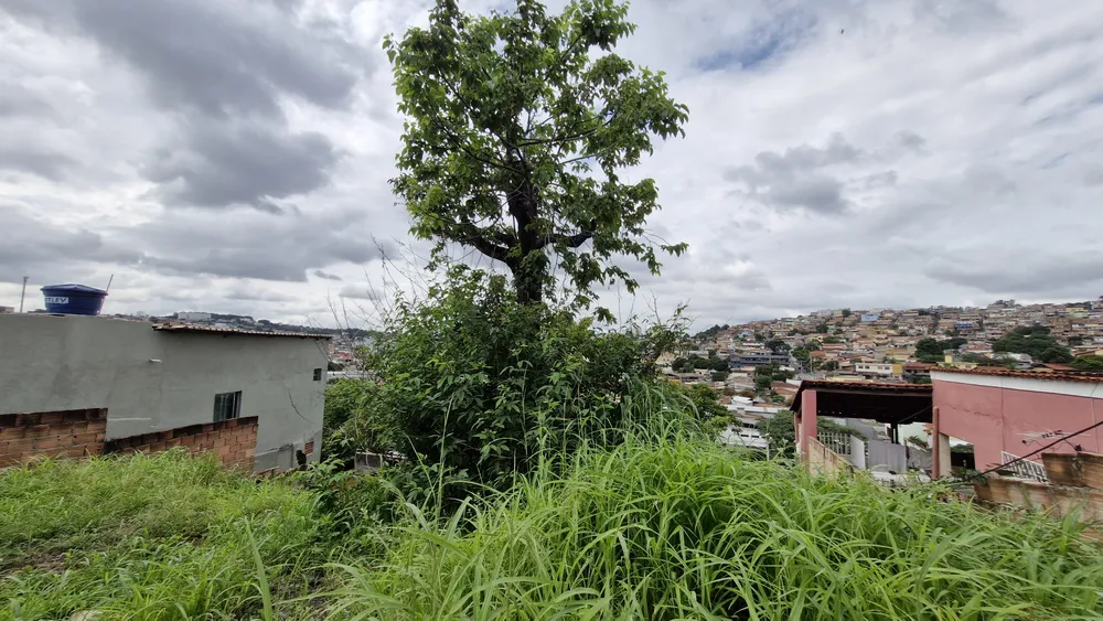Terreno, 420 m² - Foto 10
