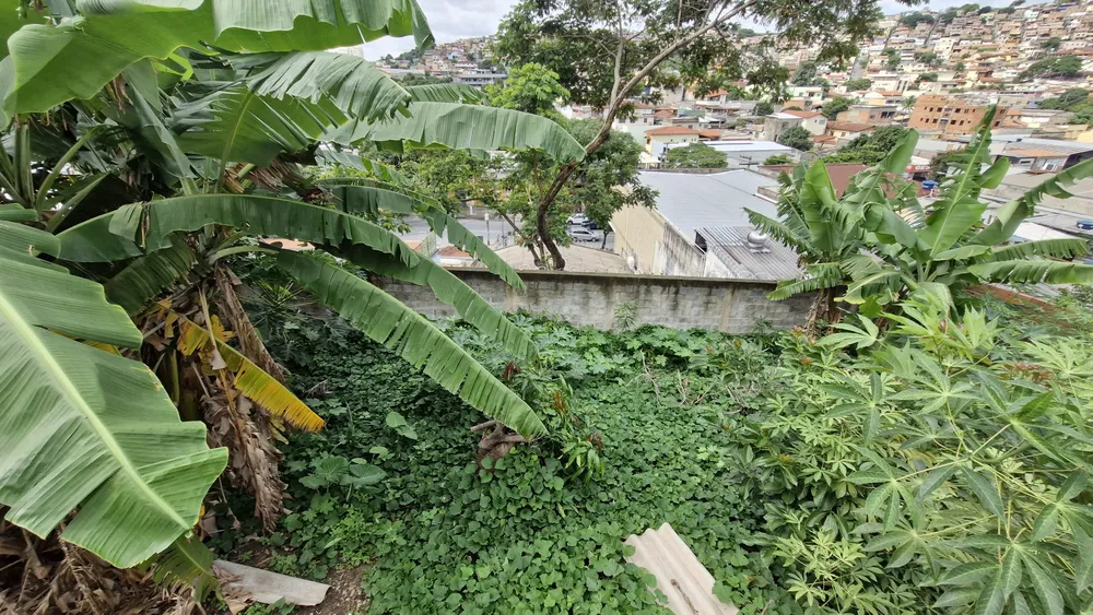 Terreno, 420 m² - Foto 7
