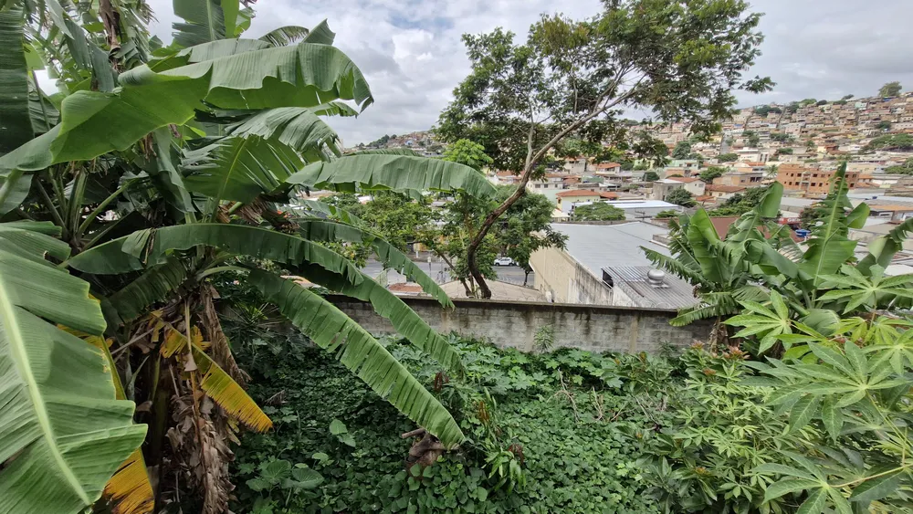 Terreno, 420 m² - Foto 12