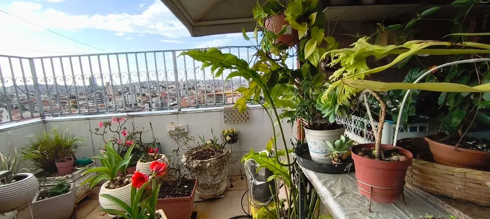 Apartamento, 3 quartos, 157 m² - Foto 3