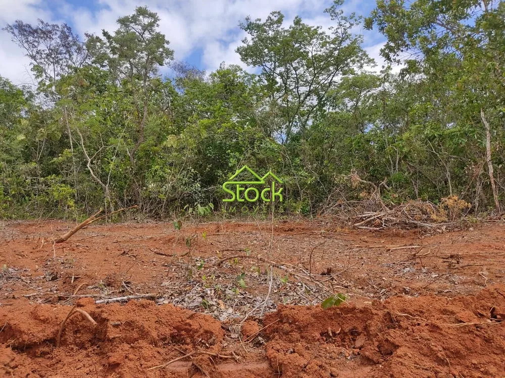 Chácara à venda com 1 quarto, 20000m² - Foto 6