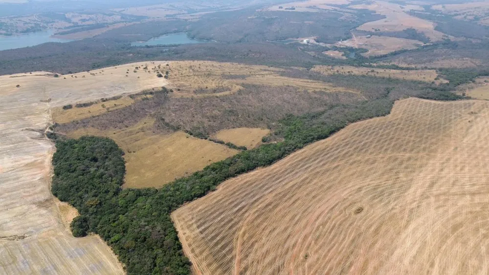Fazenda, 19 hectares - Foto 3