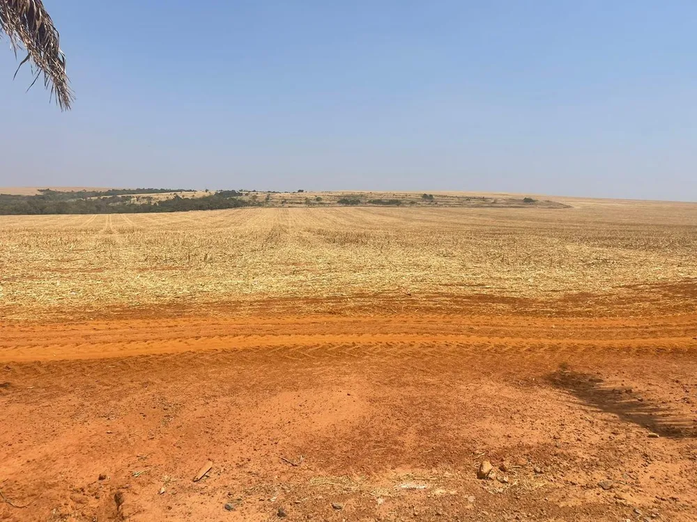 Fazenda, 19 hectares - Foto 7