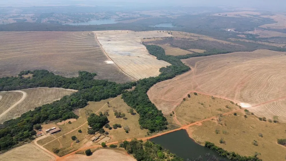 Fazenda, 19 hectares - Foto 1