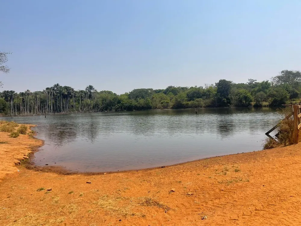 Fazenda, 19 hectares - Foto 10