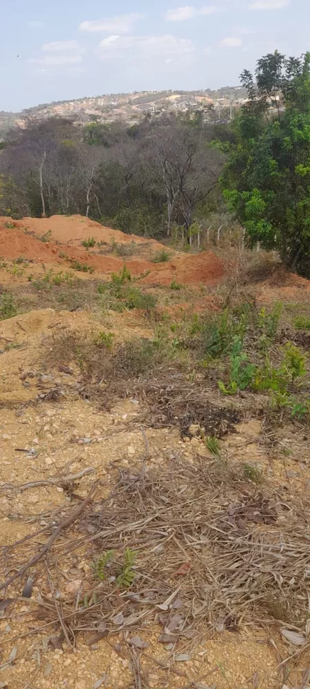 Terreno à venda, 1000m² - Foto 1