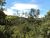 Cobertura, 100000 m² - Foto 3