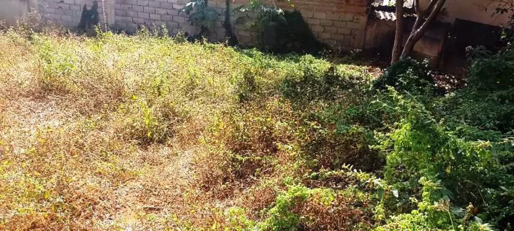 Terreno, 730 m² - Foto 11