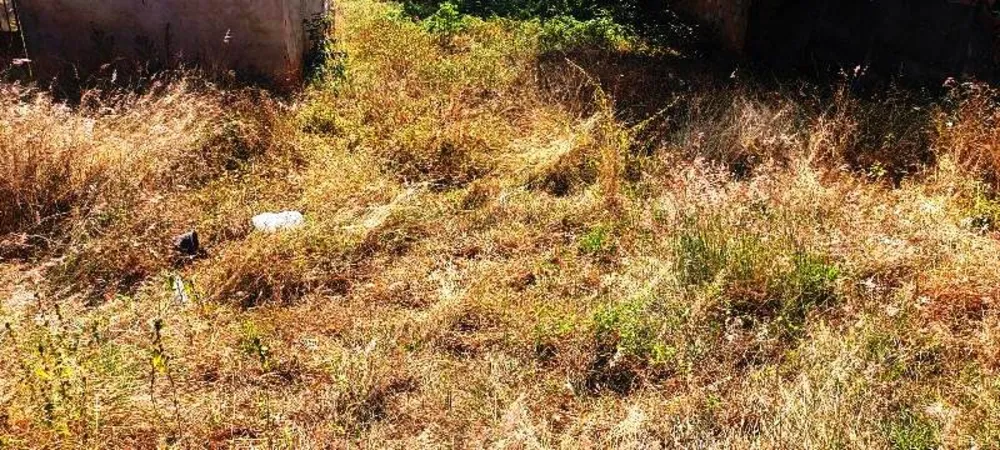 Terreno, 730 m² - Foto 13