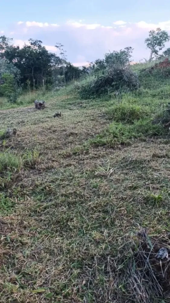 Terreno, 5000 m² - Foto 7
