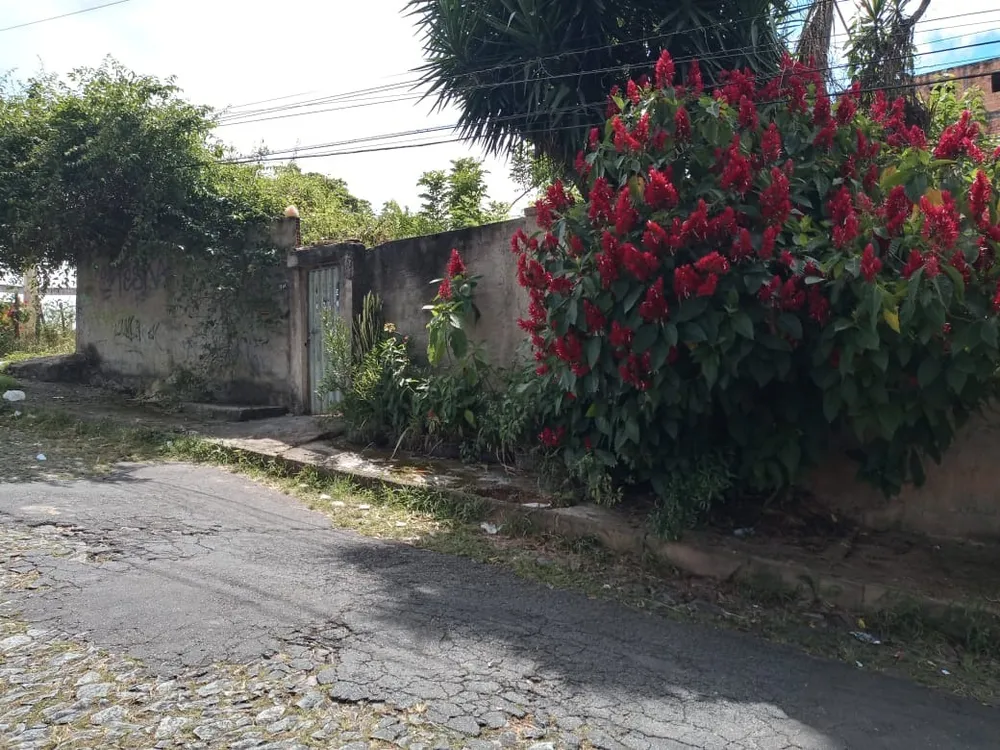 Terreno, 506 m² - Foto 3
