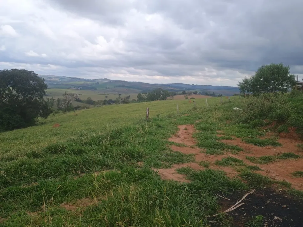 Sítio, 1 quarto, 600000 m² - Foto 2