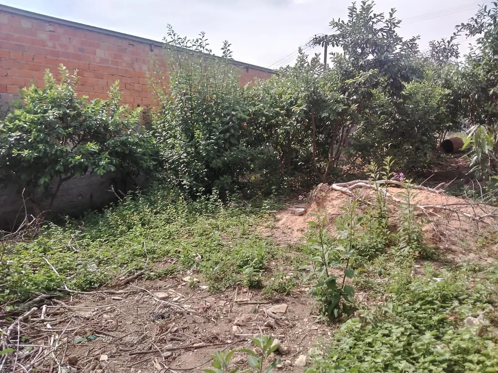 Terreno, 320 m² - Foto 8