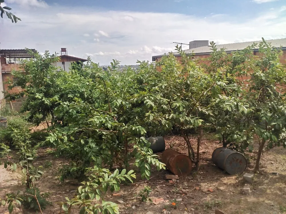 Terreno, 320 m² - Foto 9
