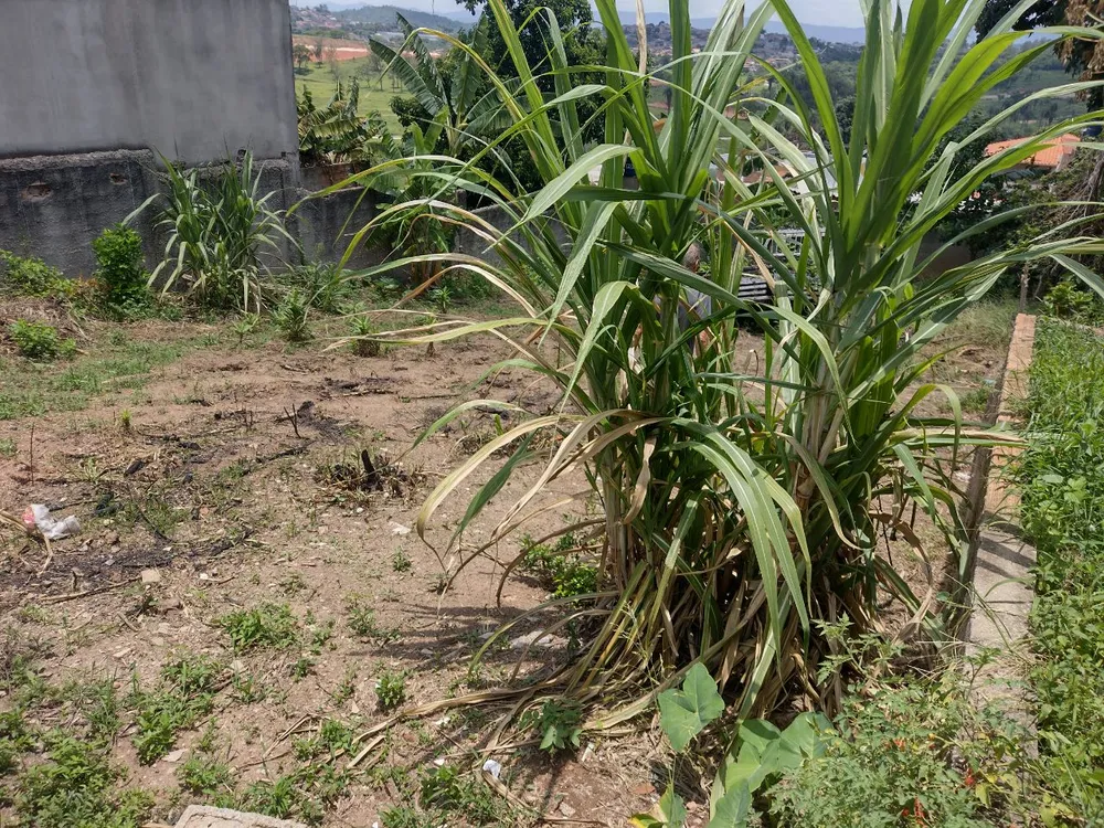 Terreno, 360 m² - Foto 7