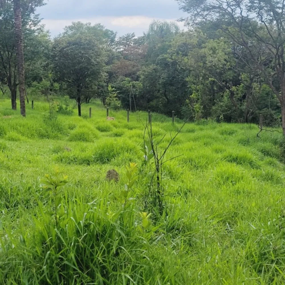 Terreno, 3724 m² - Foto 7
