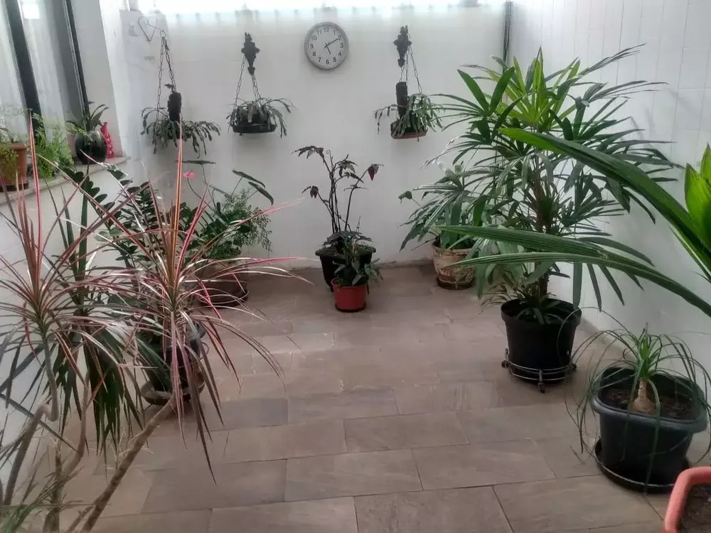 Casa, 9 quartos, 360 m² - Foto 12