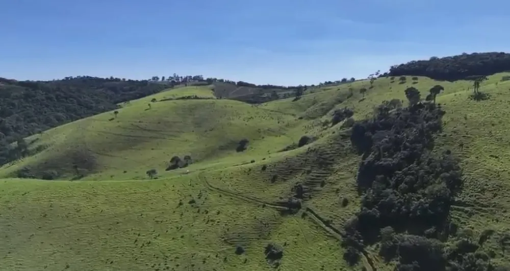 Fazenda, 286 hectares - Foto 7