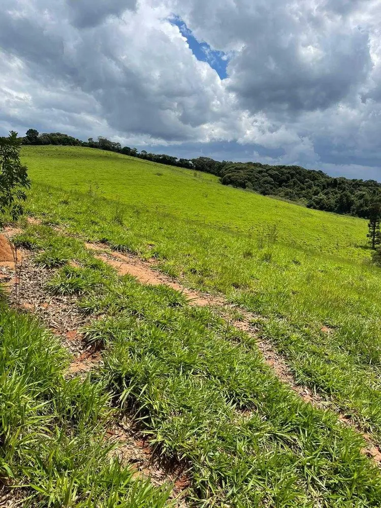 Fazenda, 286 hectares - Foto 6