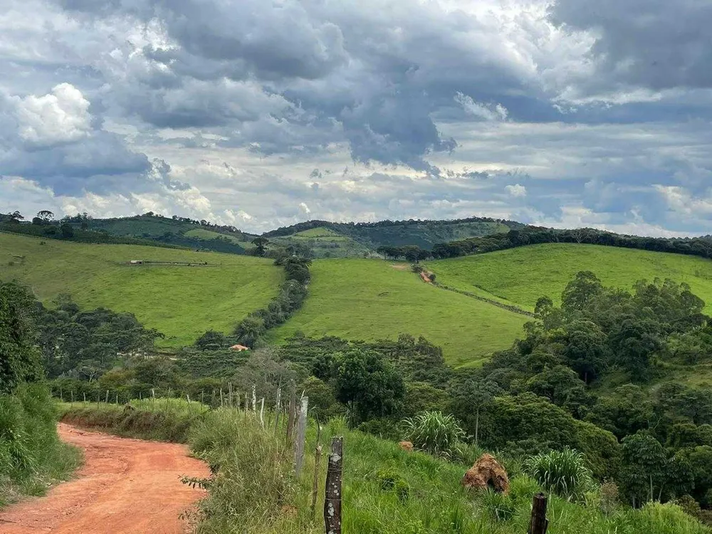 Fazenda, 286 hectares - Foto 4