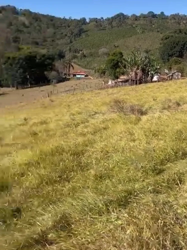 Fazenda, 286 hectares - Foto 3