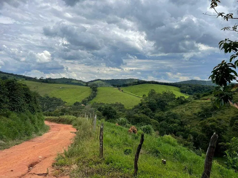 Fazenda, 286 hectares - Foto 2