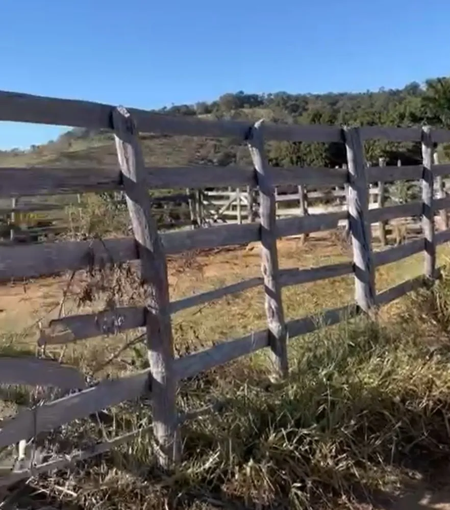 Fazenda, 269 hectares - Foto 12