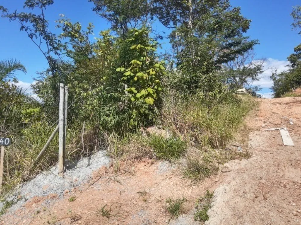 Terreno, 1300 m² - Foto 12