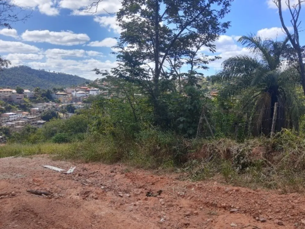 Terreno, 1300 m² - Foto 10